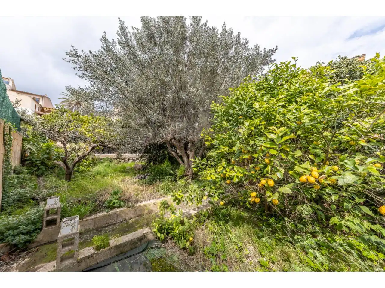 Maison à vendre à Selva, imagen 3