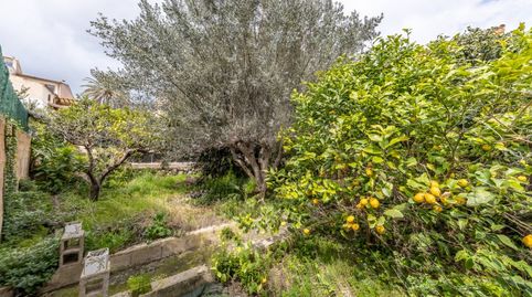 Foto 3 de Casa o chalet en venta en Selva, Illes Balears