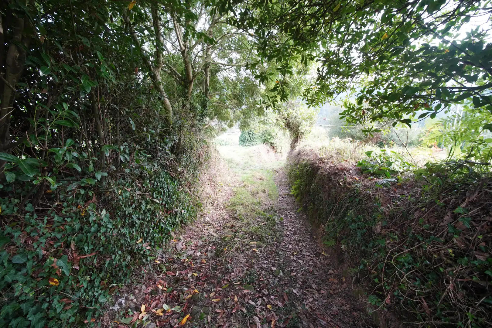Wohnbaugrundstück zum Verkauf in Cudillero, imagen 10