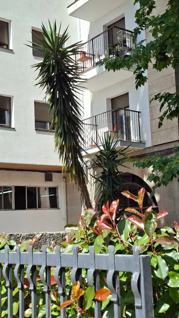Exterior view of Flat for sale in Vigo   with Heating, Parquet flooring and Furnished
