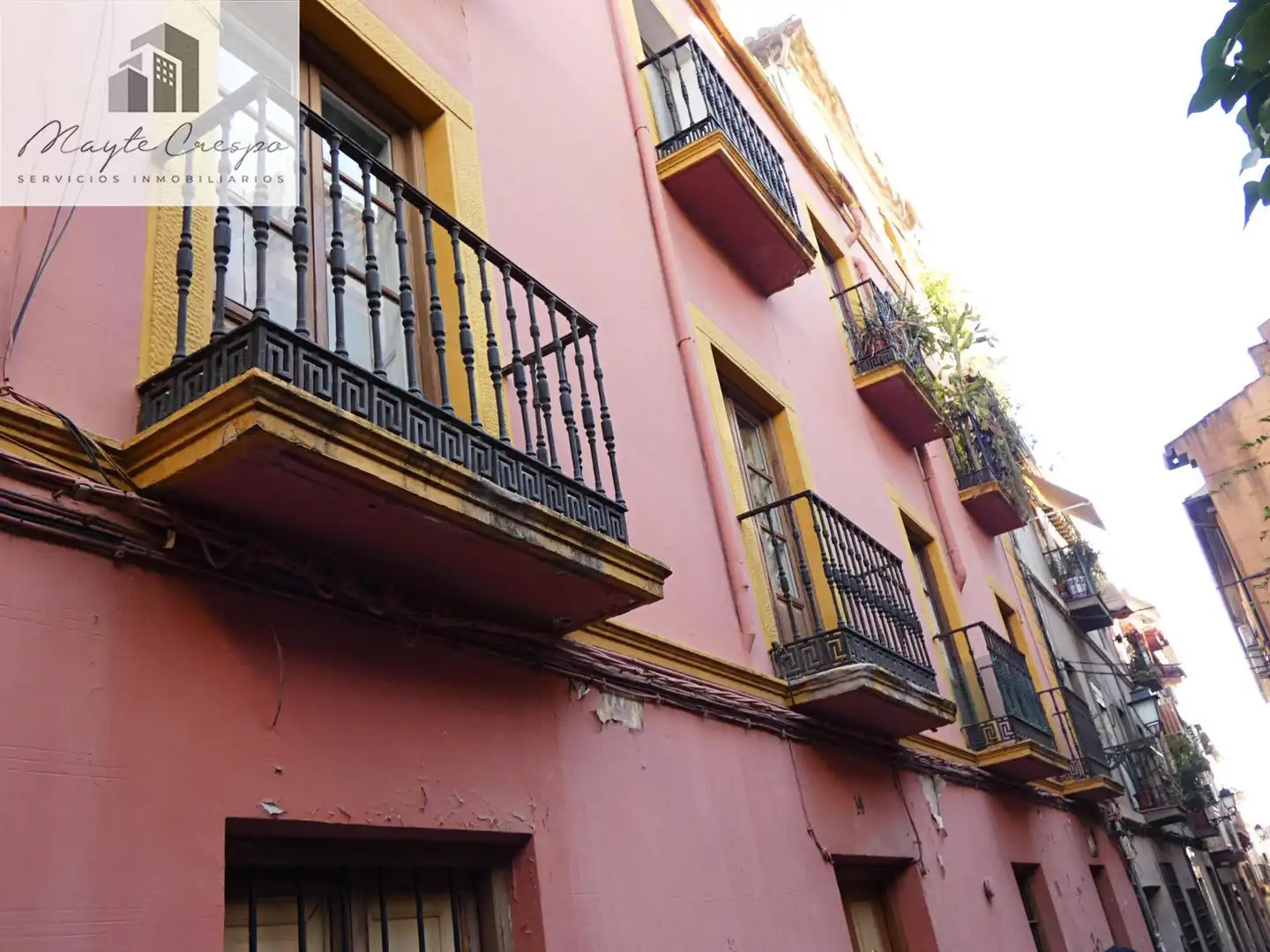 Immobles singulars en venda a Centro