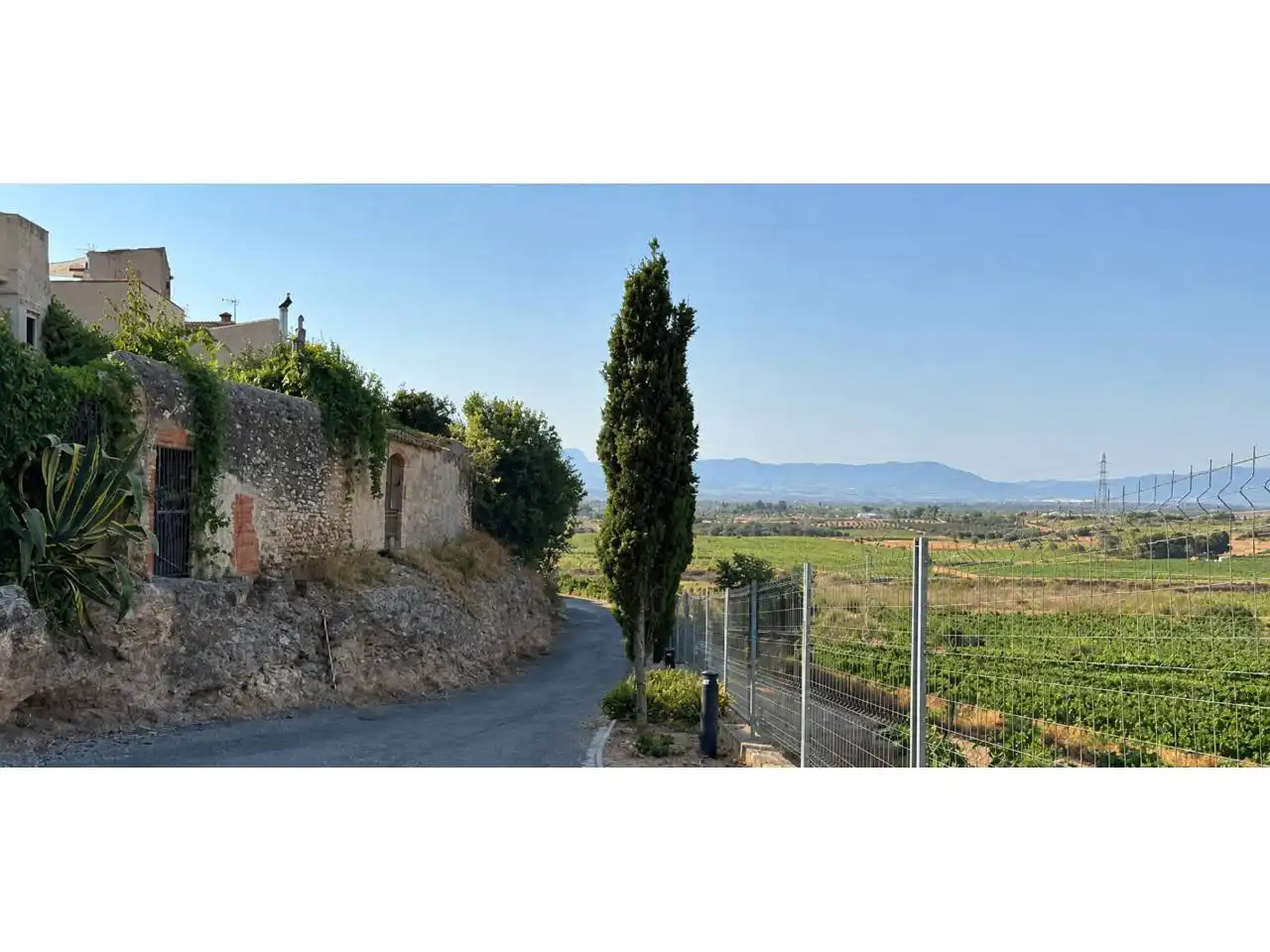 Vista exterior de Terreno en venta en Puigpelat