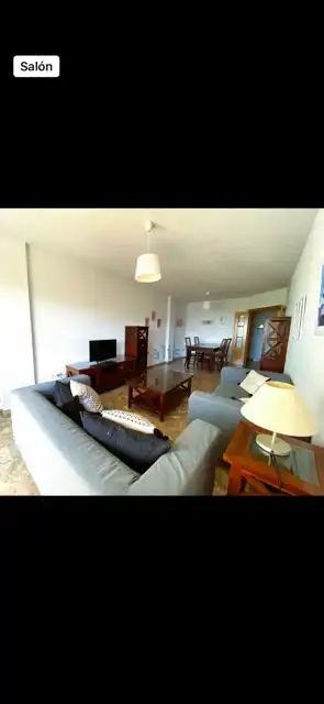 Living room of Flat for rent in Málaga  with Terrace, Furnished and Oven