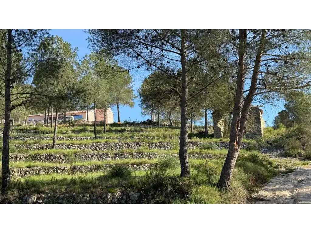 Casa o xalet en venda en Jávea / Xàbia