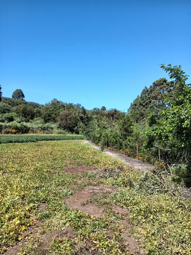 Finca rústica en venta en Garachico