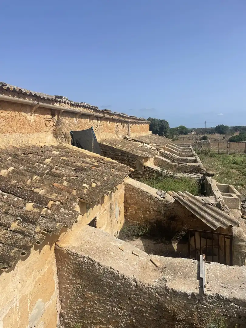 Vista exterior de Finca rústica en venta en Santa Margalida