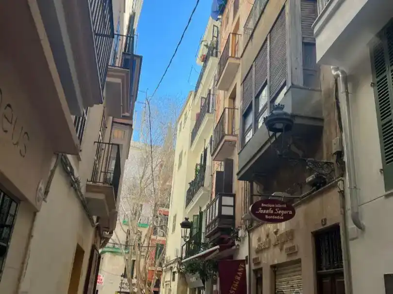 Vista exterior de Casa adosada en venta en  Palma de Mallorca con Balcón