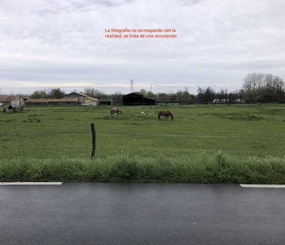 Terreno residencial en Venta en Albatana