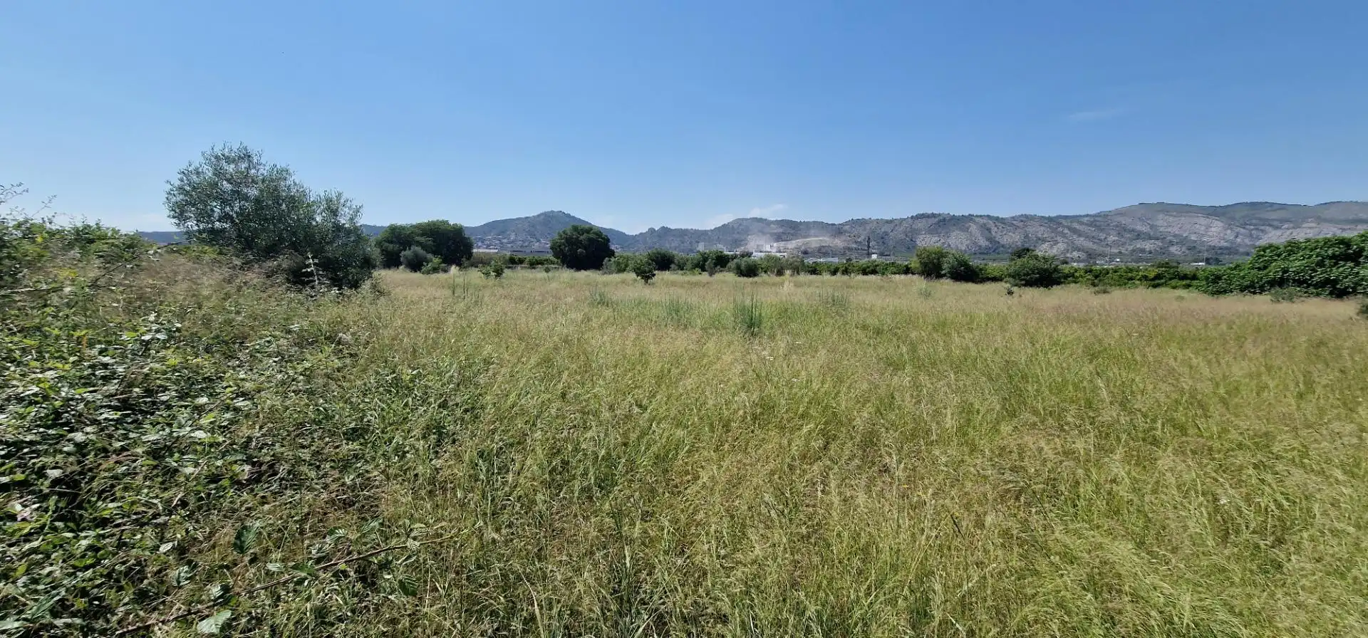 Terreno rustico in vendita a Centro, imagen 4