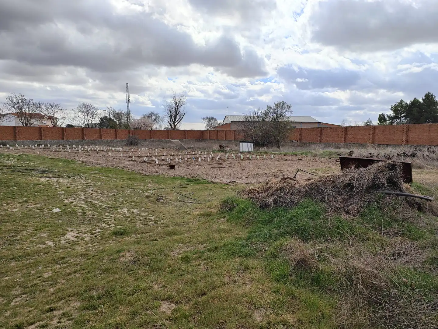 Lands and plots for sale in Corral de Almaguer, imagen 5