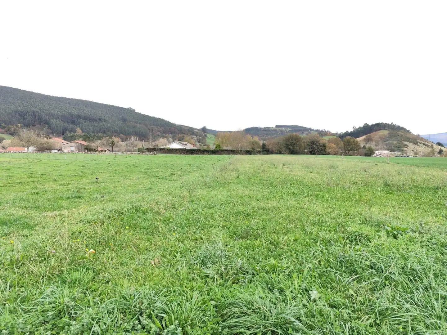 Grundstücke und Bauplätze zum Verkauf in Castañeda, imagen 3