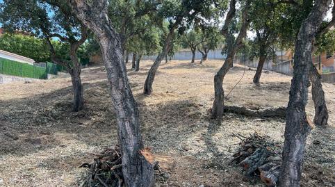 Photo 2 of Residential for sale in Pinetell, 5, Puig Ses Forques - Torre Colomina, Girona