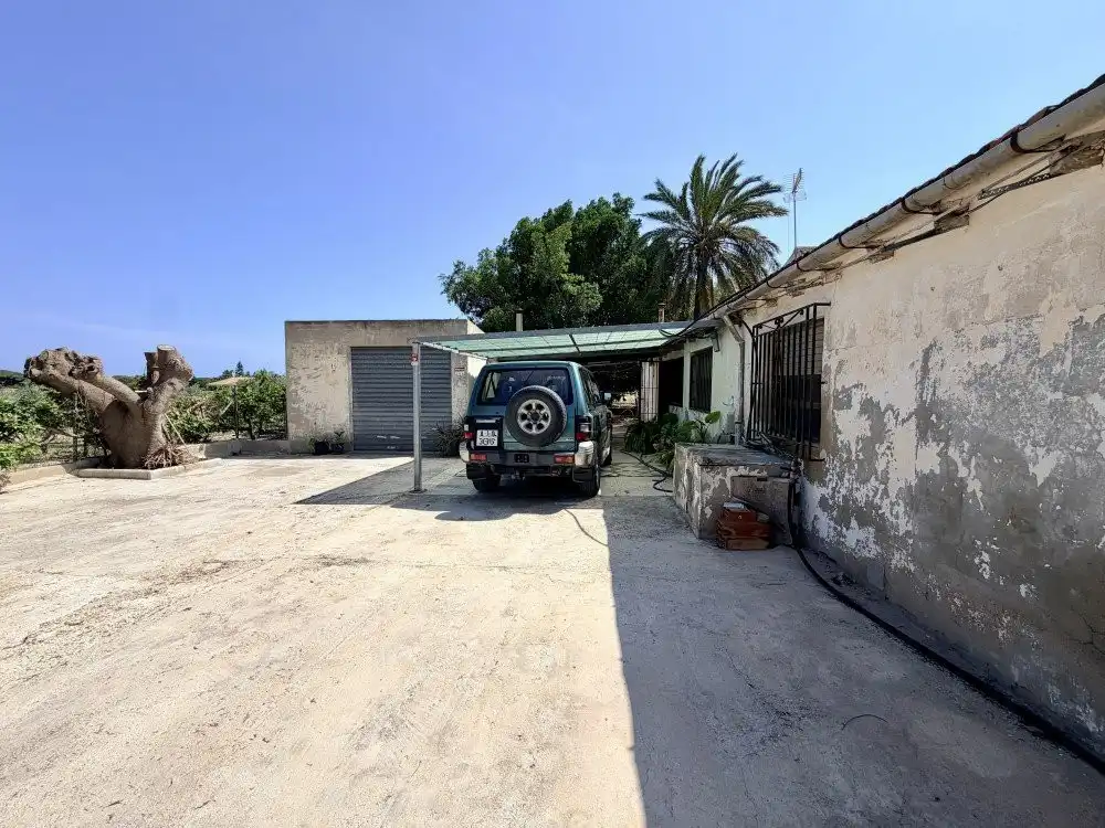 Exterior view of Country homes for sale in Elche / Elx