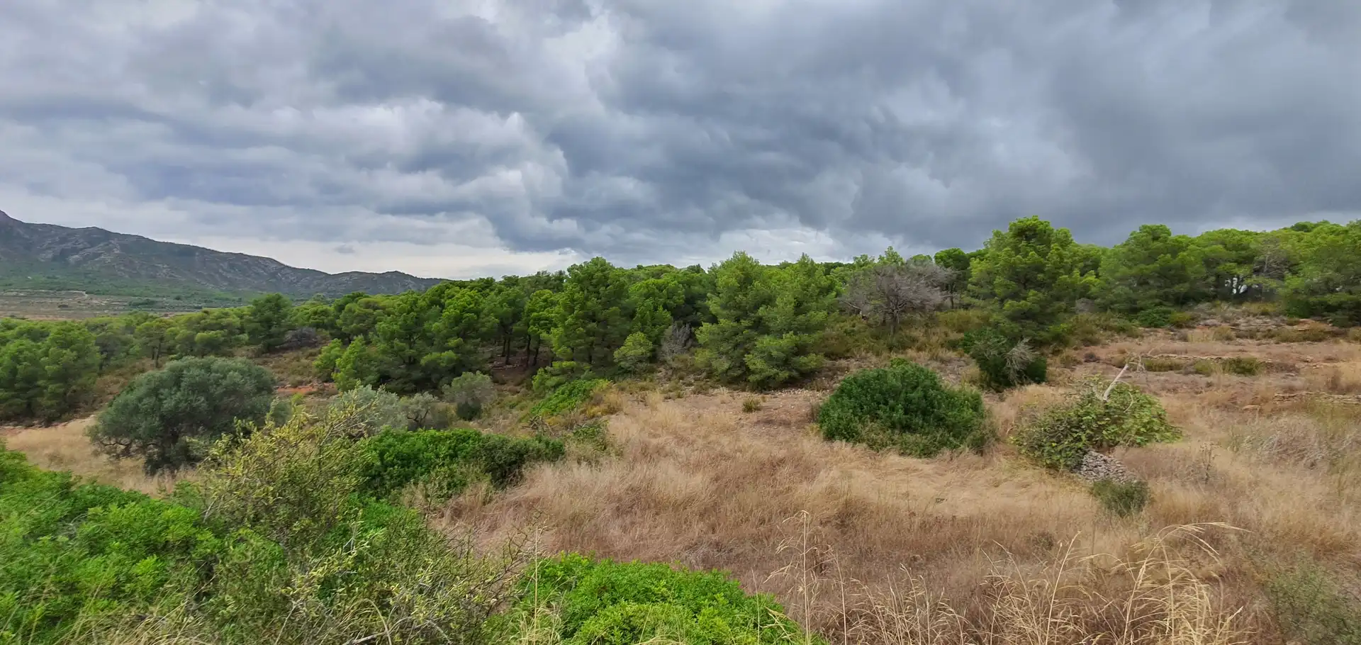 Rustikales Grundstück zum Verkauf in El Pinell de Brai, imagen 13