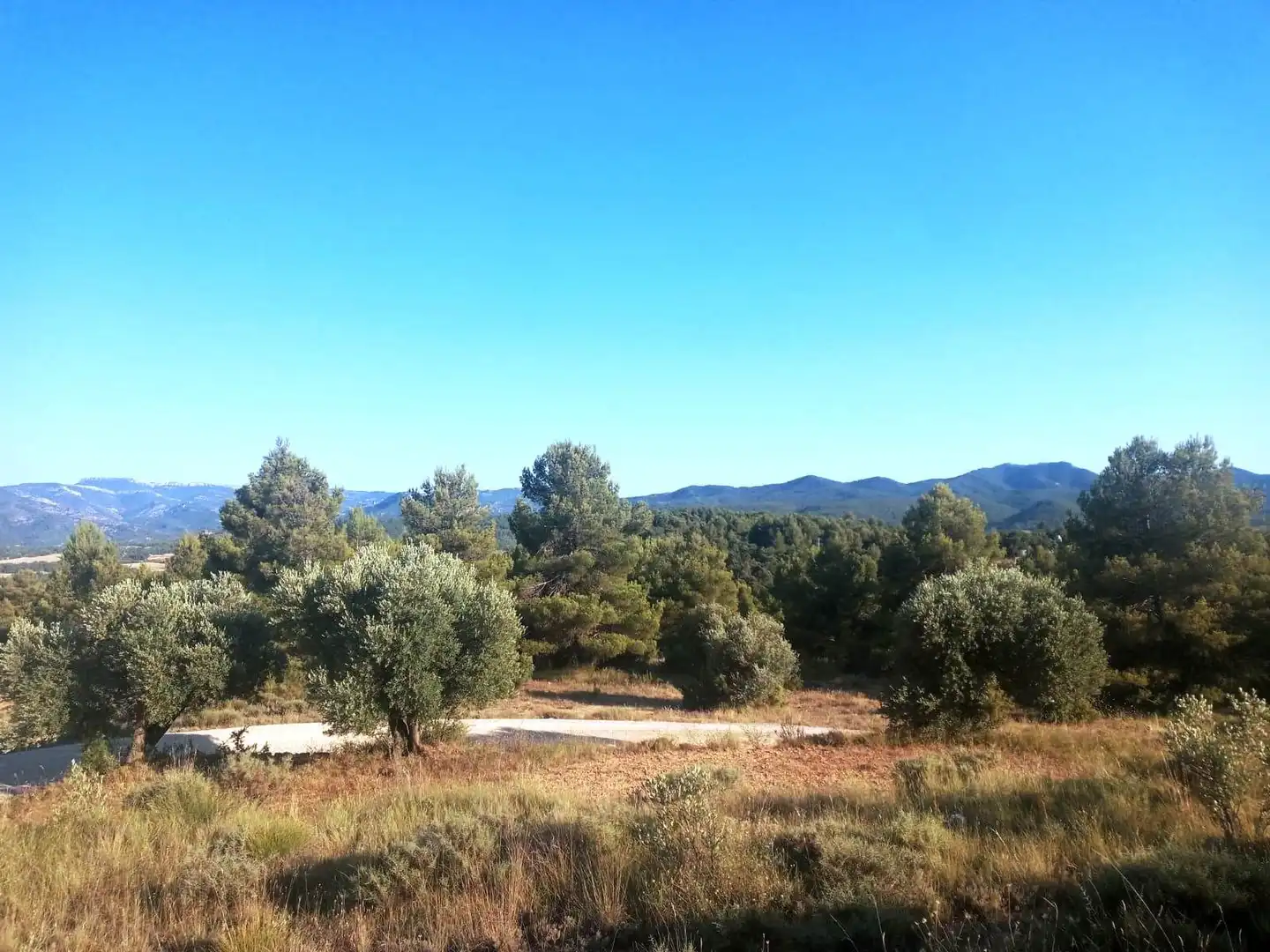 Terreni e lotti in vendita a Monroyo, imagen 6
