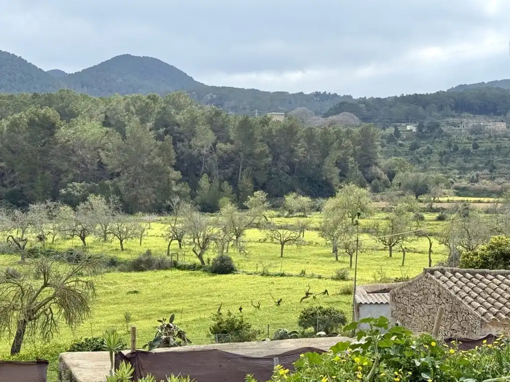Jardí de Casa o xalet en venda en Sant Josep de sa Talaia