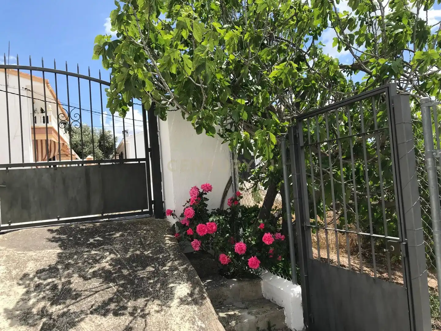 Jardín de Casa o chalet en venta en Colomera con Jardín privado, Trastero y Piscina