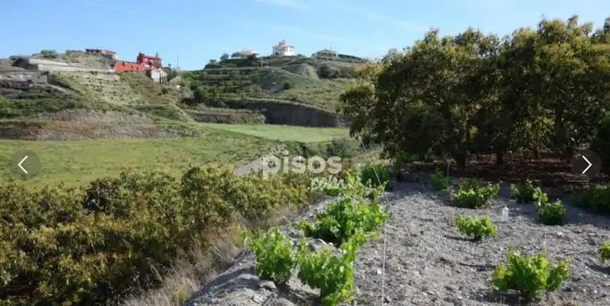 Terreno rústico en venta en Motril  ciudad, imagen 5