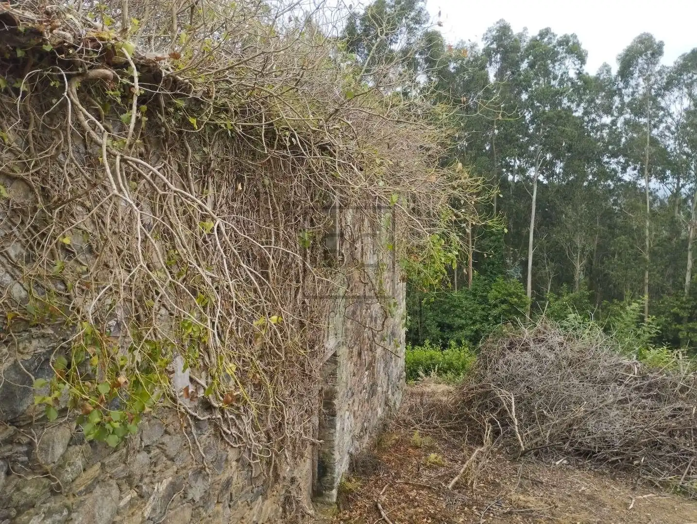 Casa o xalet en venda en Cerdido amb Jardí privat