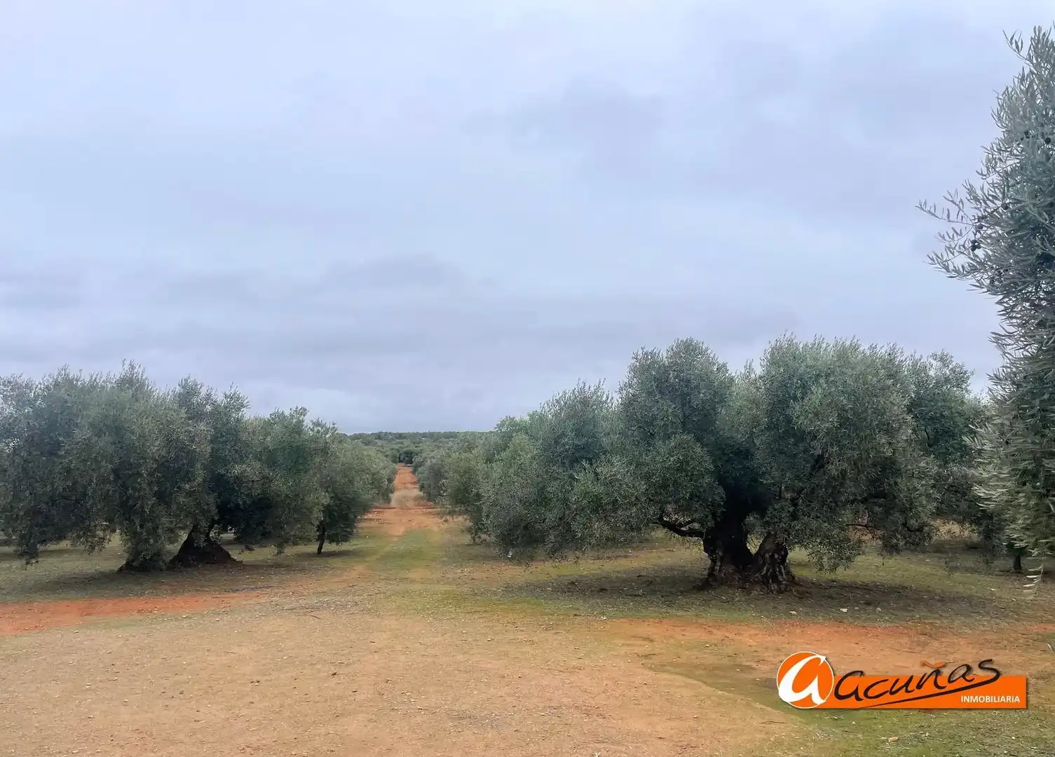 Terrenos y solares en venta en Alameda, imagen 24