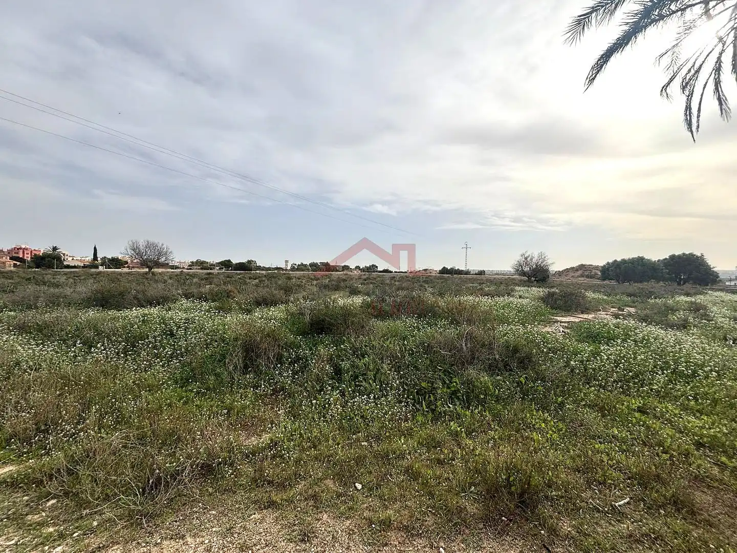 Grundstücke zur Miete in Elche / Elx