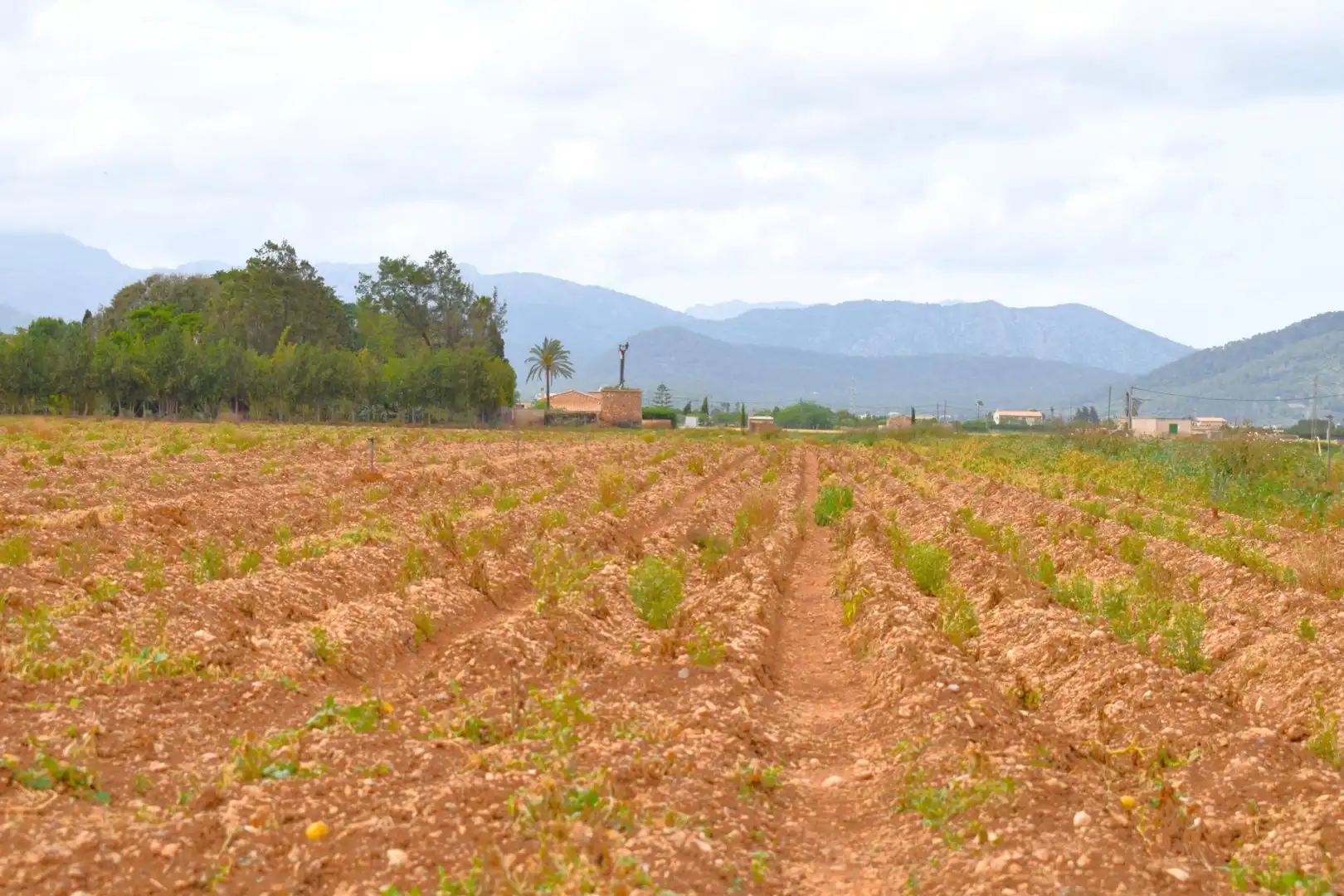 Finca rústica en venta en Sa Pobla con Jardín privado