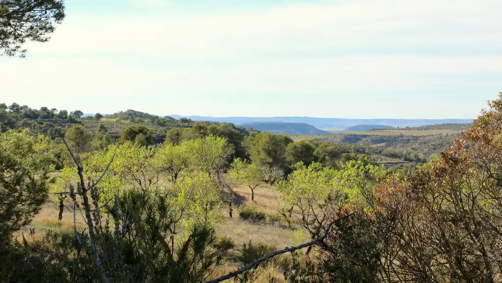 Finca rústica en venda en Maella