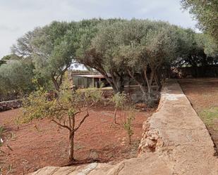 Finca rústica en venda en Ciutadella de Menorca