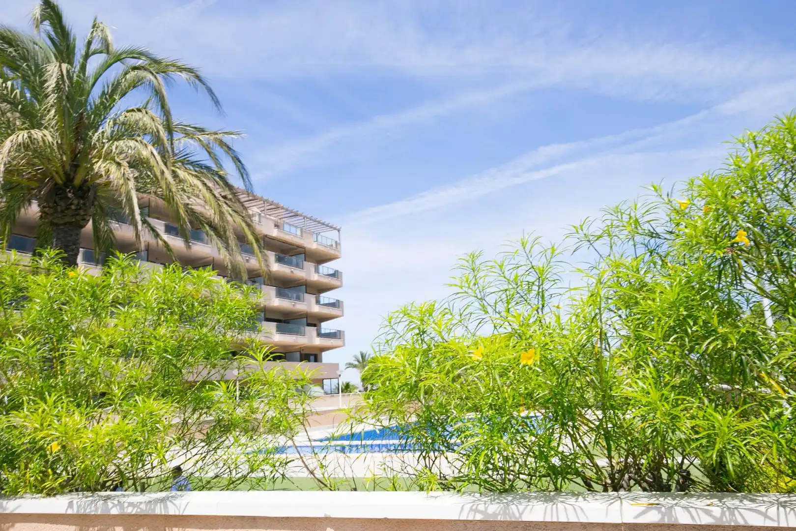 Vista exterior de Apartament en venda en Elche / Elx amb Aire condicionat, Calefacció i Terrassa