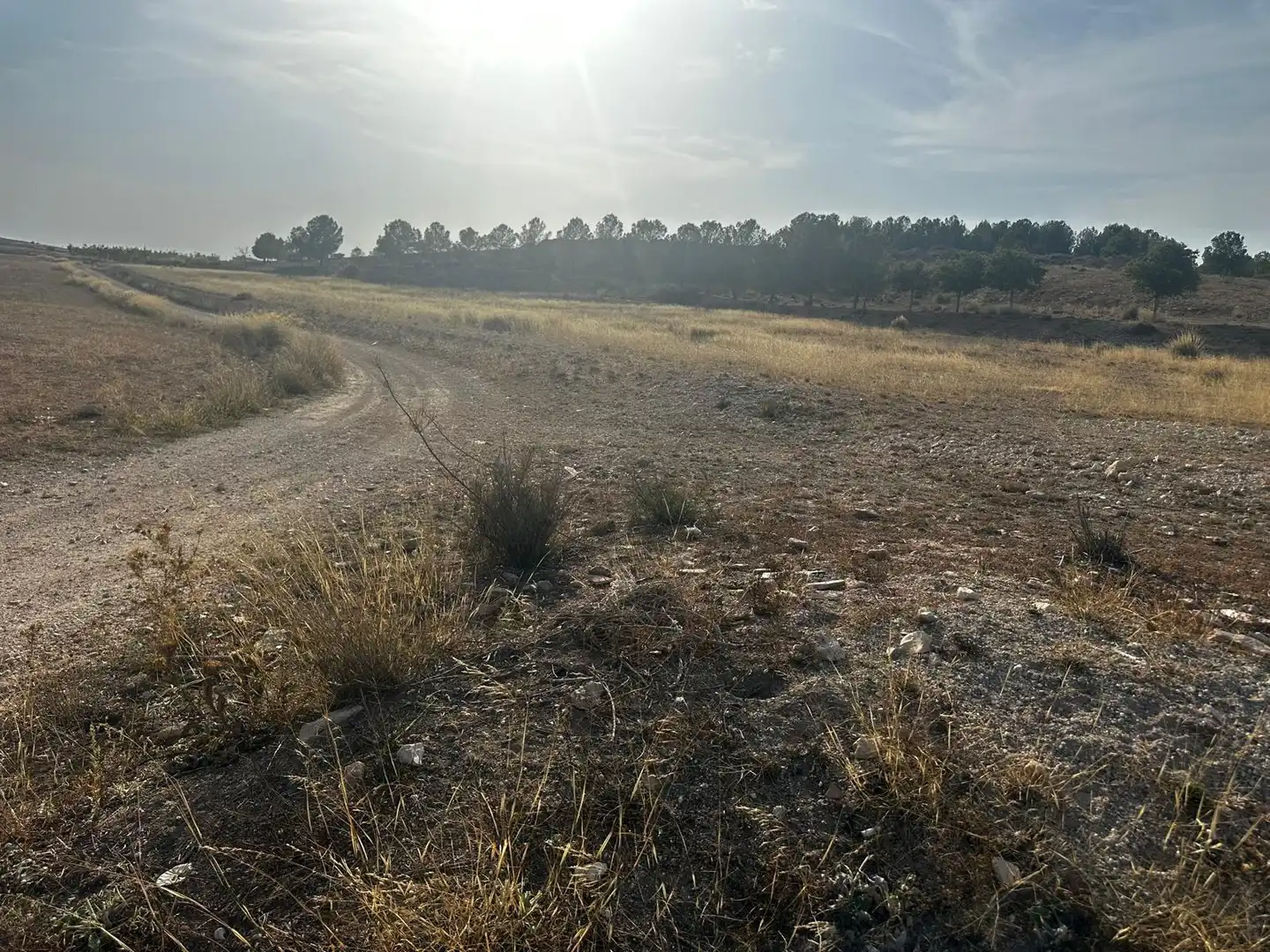 Residential land for sale in El Pinós / Pinoso, imagen 13