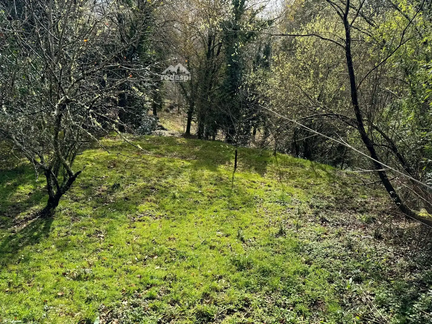 Maison à vendre à A Cañiza, imagen 10