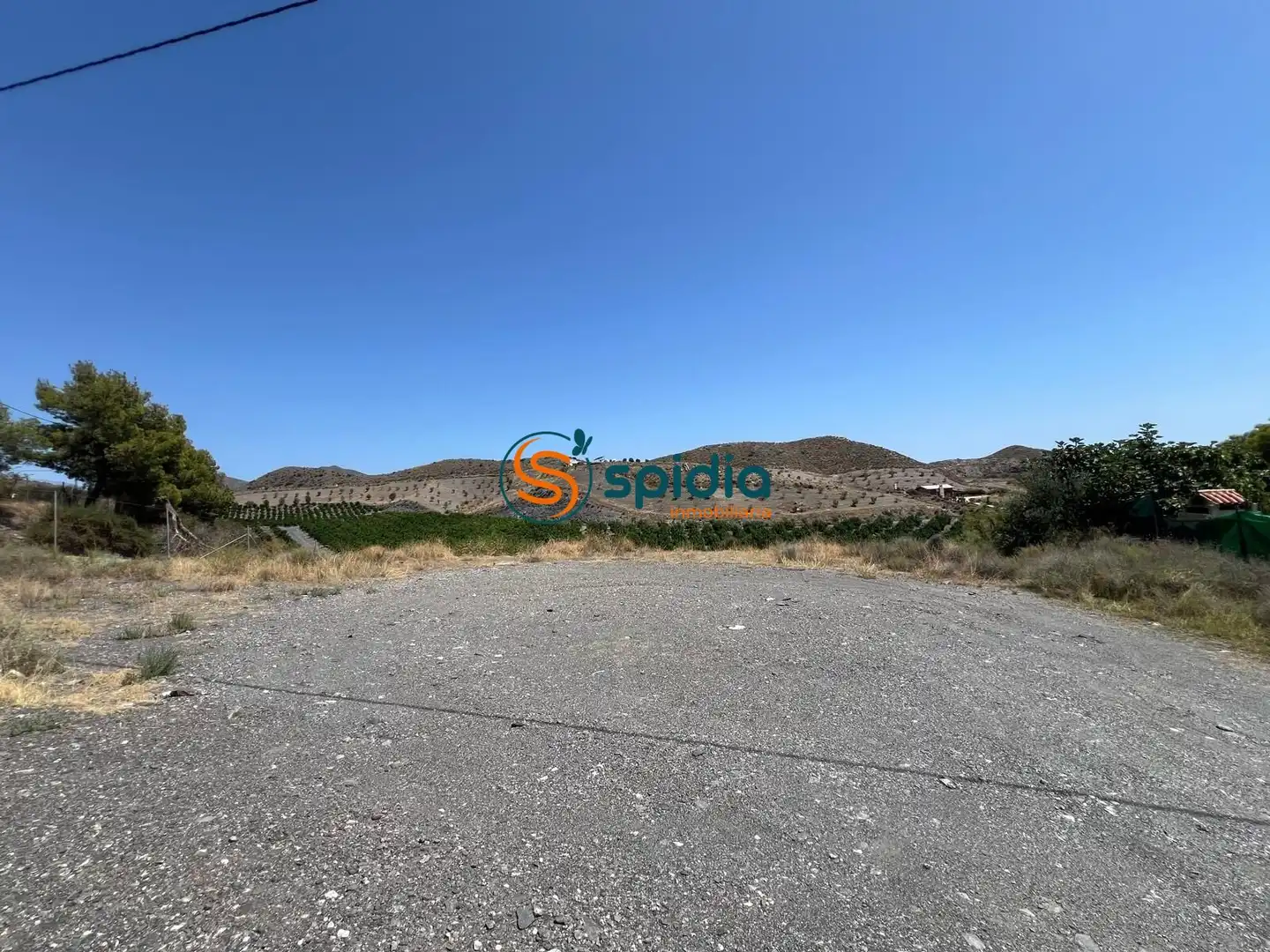 Terreny rústic en venda a Tébar - Los Arejos, imagen 2