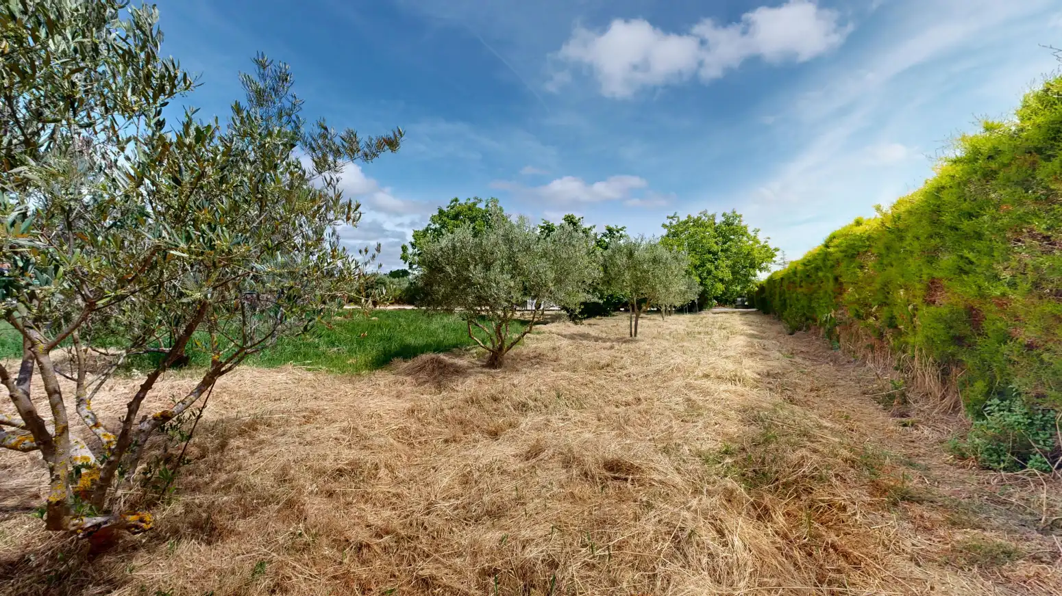 Rural land for sale in Tafalla - PARAJE LA RECUEJA, imagen 18
