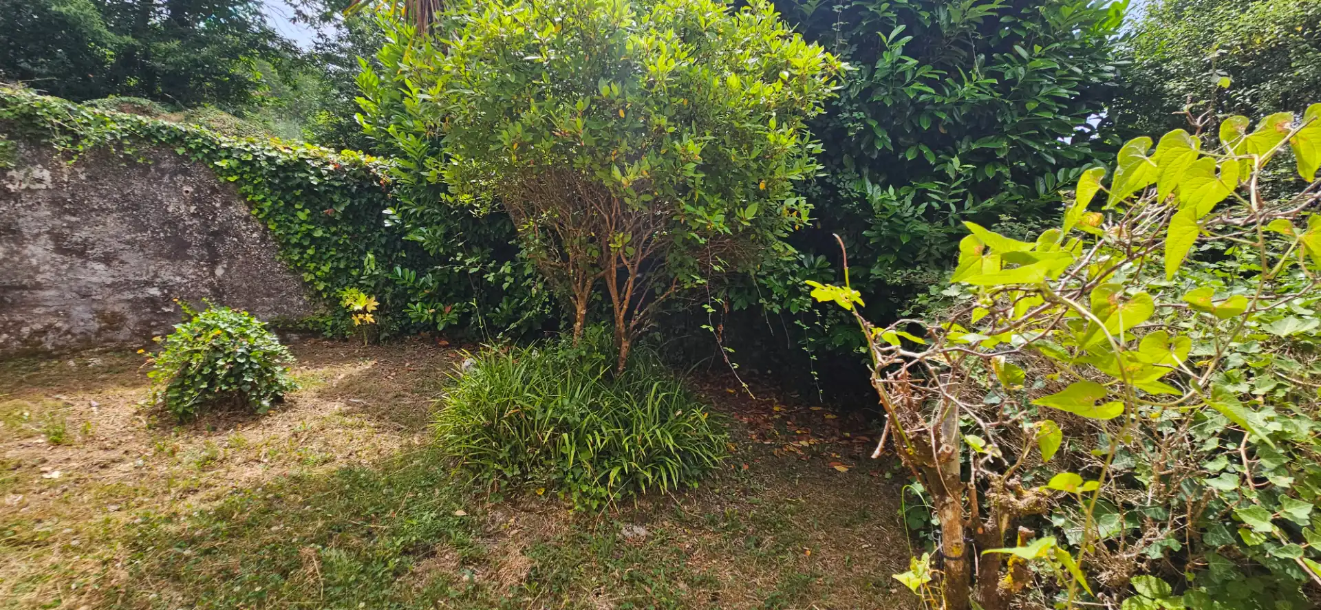 Jardí de Finca rústica en venda en Ferrol amb Moblat
