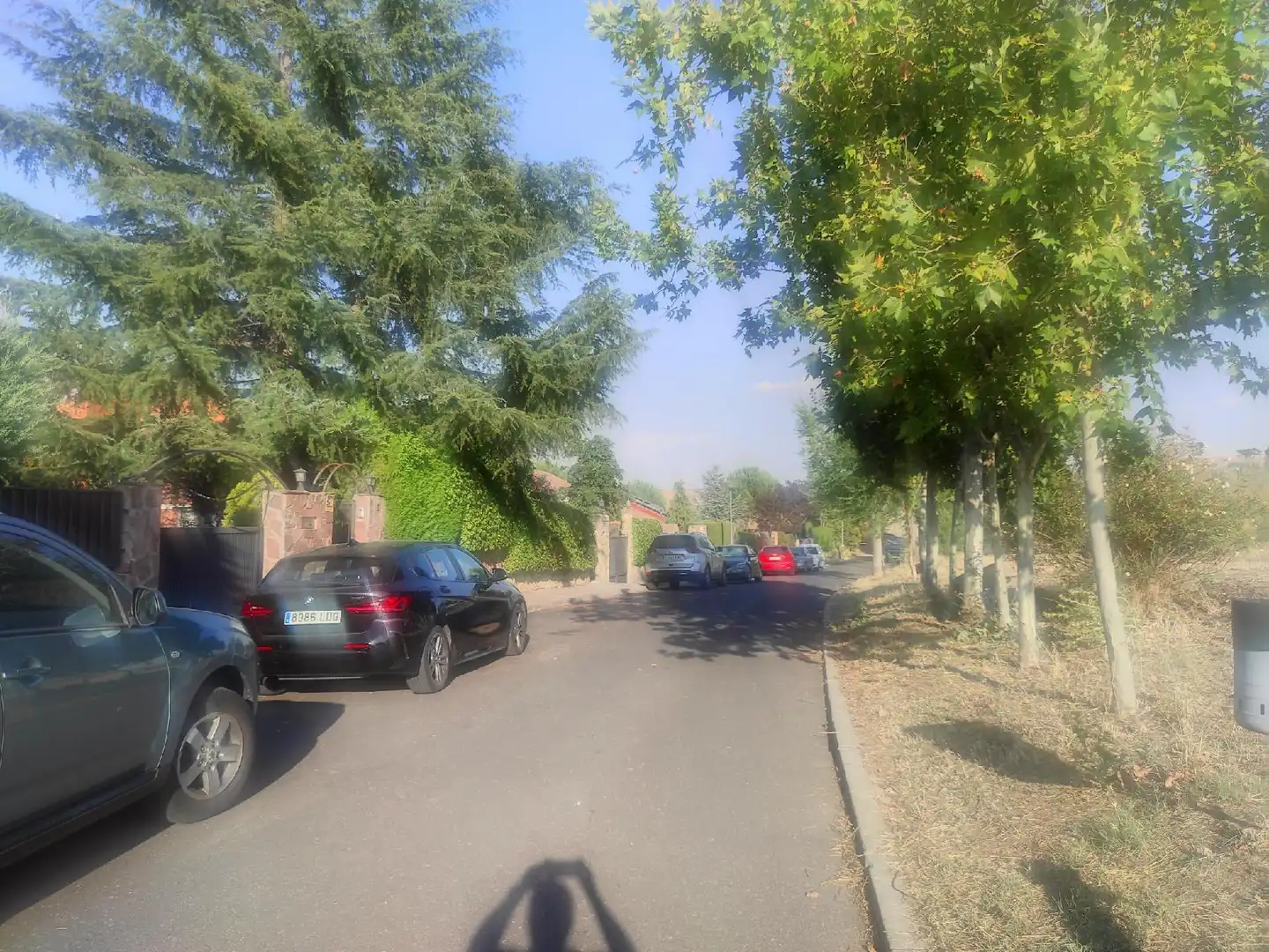 Exterior view of Detached homes for sale in Valdeolmos-Alalpardo