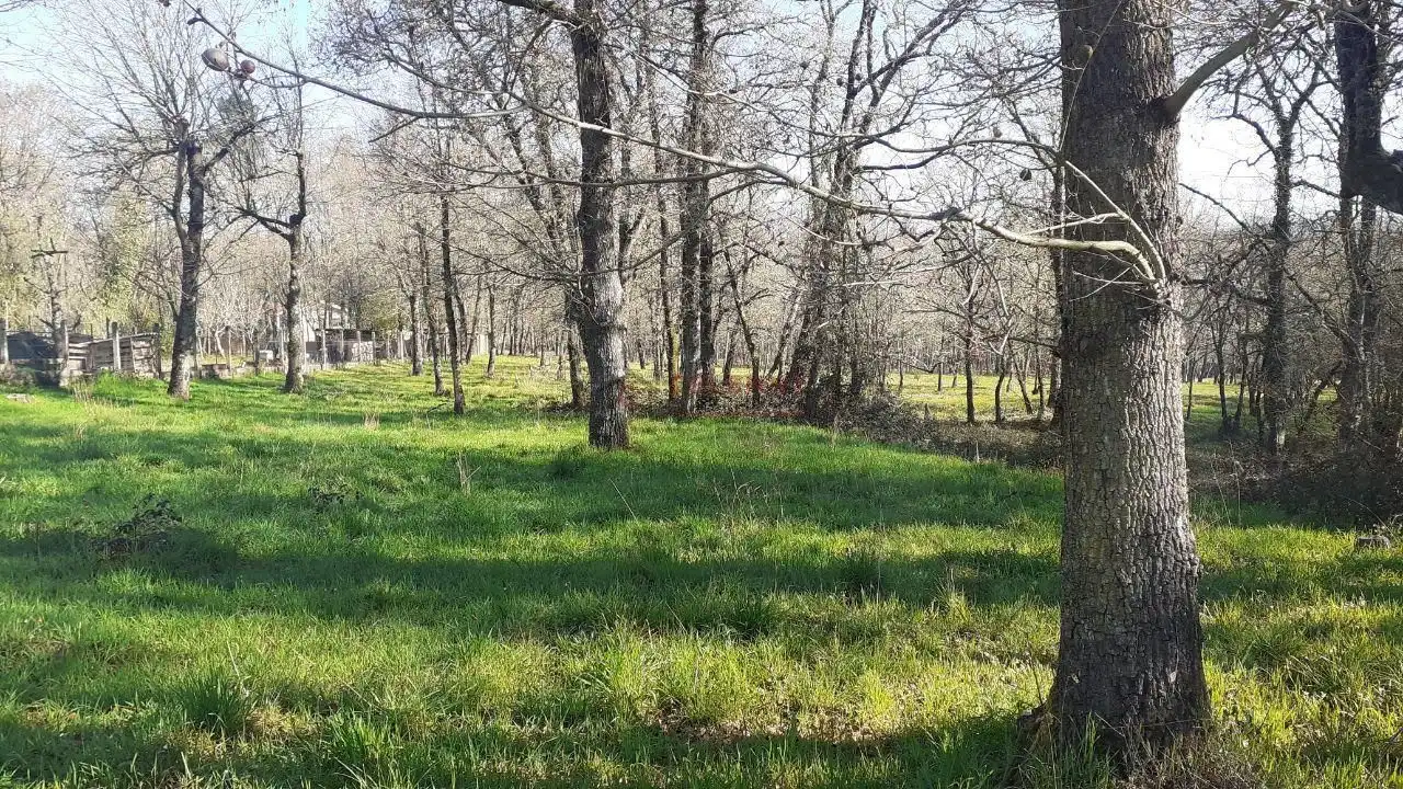 Terreni e lotti in vendita a Paderne de Allariz, imagen 10