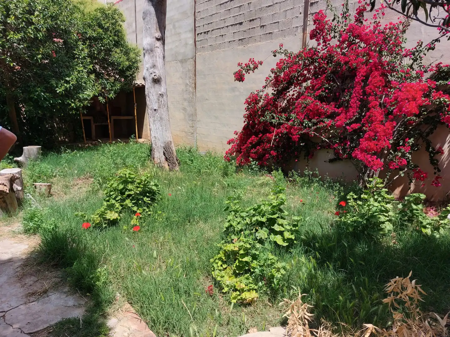 Casa con terraza en venta en Carrer Major, imagen 5