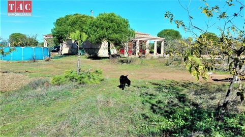 FINCA CON CASA, imagen 4