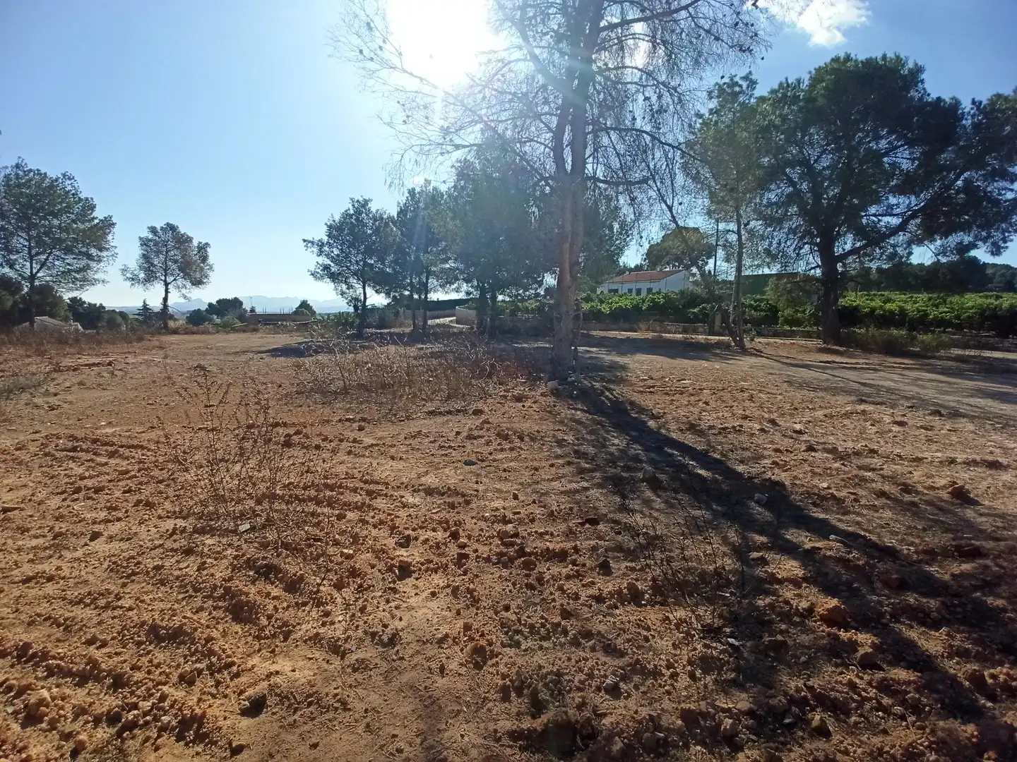 Terreno residencial en venta en Alberic, imagen 6
