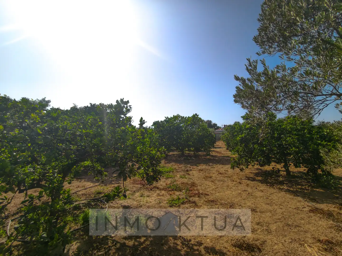 Casa rústica amb jardí en venda a Ctra Sanlúcar - Cuatro Pinos, imagen 27
