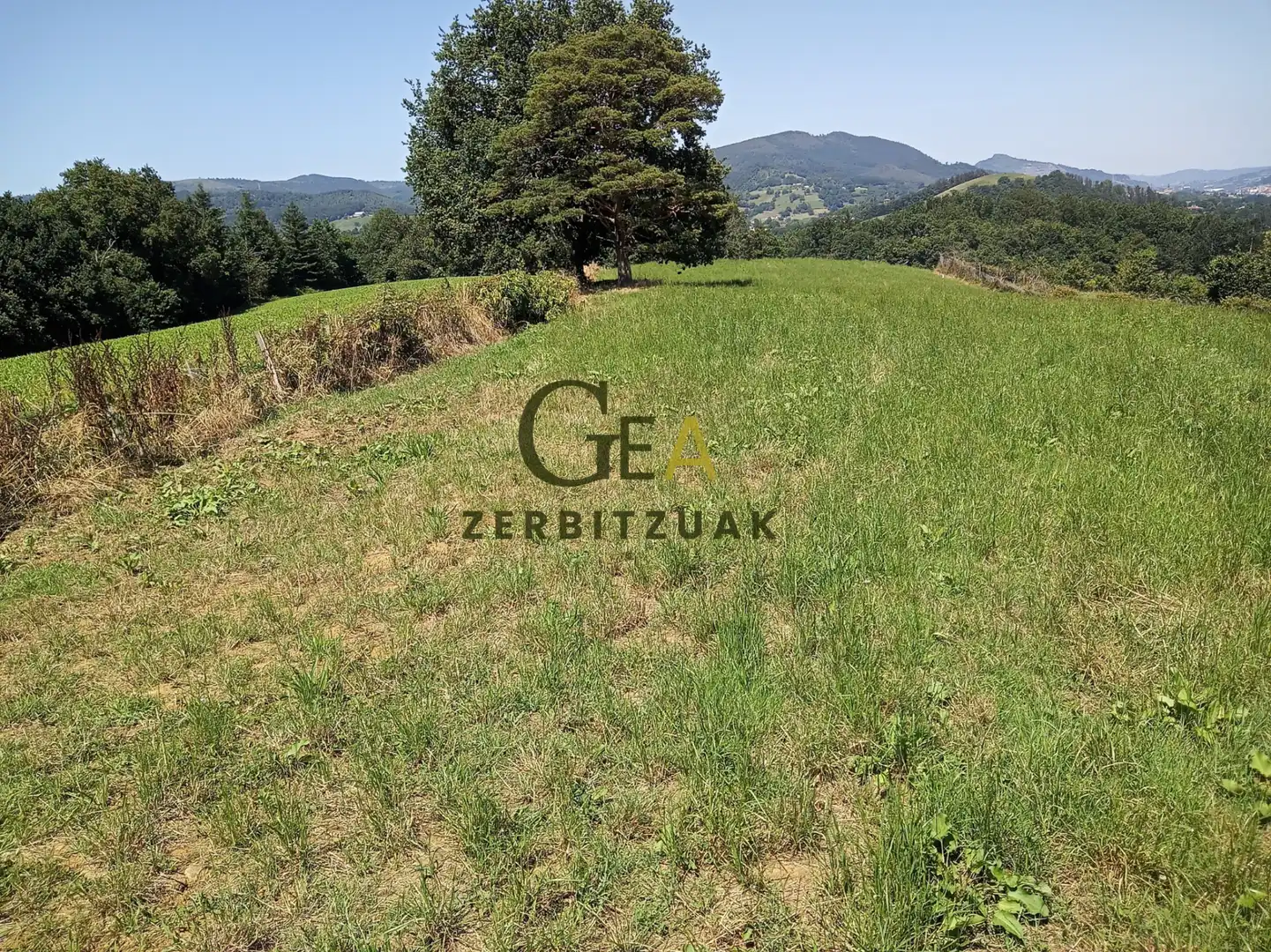 Land for sale in Asteasu
