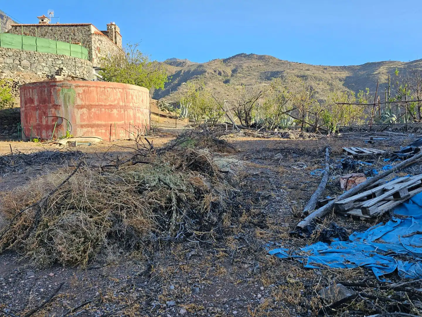 Vista exterior de Finca rústica en venta en Tejeda