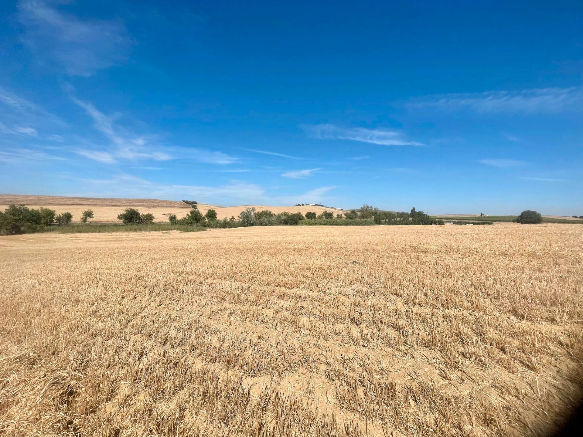 Land for sale in Arcos de la Frontera