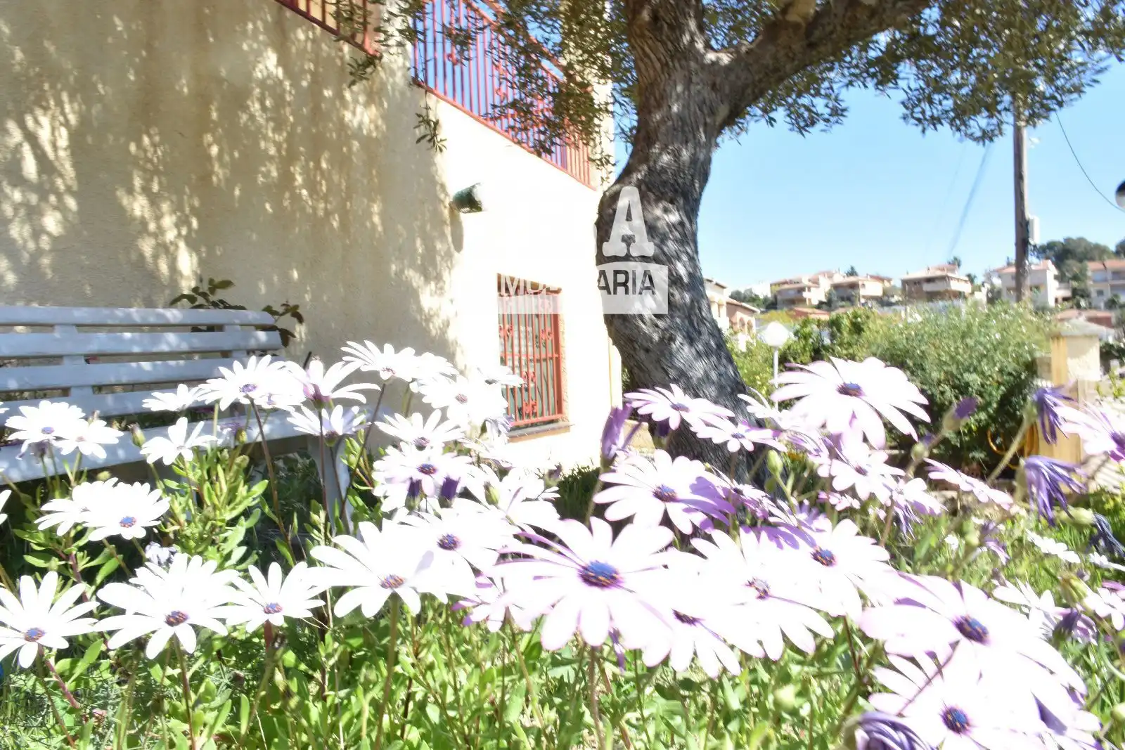 Villa zum Verkauf in Nou Vendrell, imagen 5
