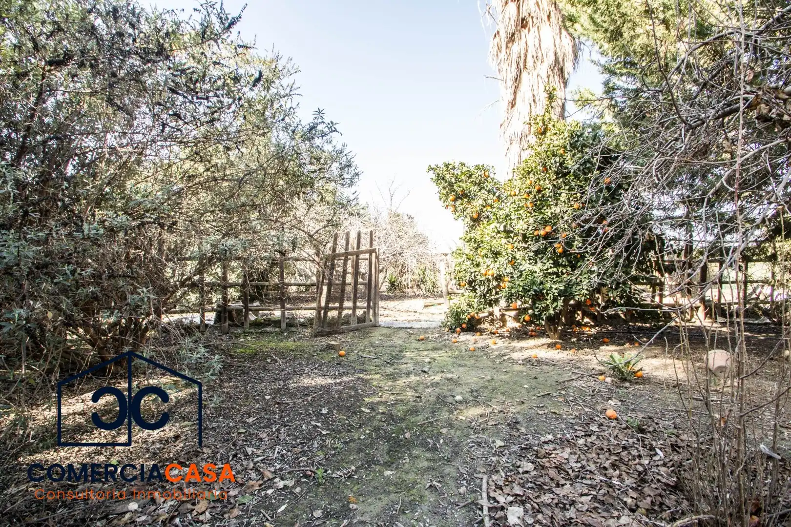 Jardí de Finca rústica en venda en Churriana de la Vega amb Jardí privat