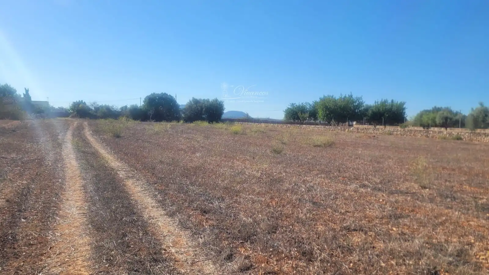Terreno rustico in vendita a N/A, imagen 3