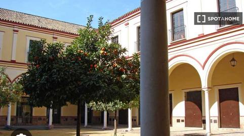 Foto 2 de Apartament per a compartir a Centro - Calzada - Cabo Noval, Sanlúcar de Barrameda