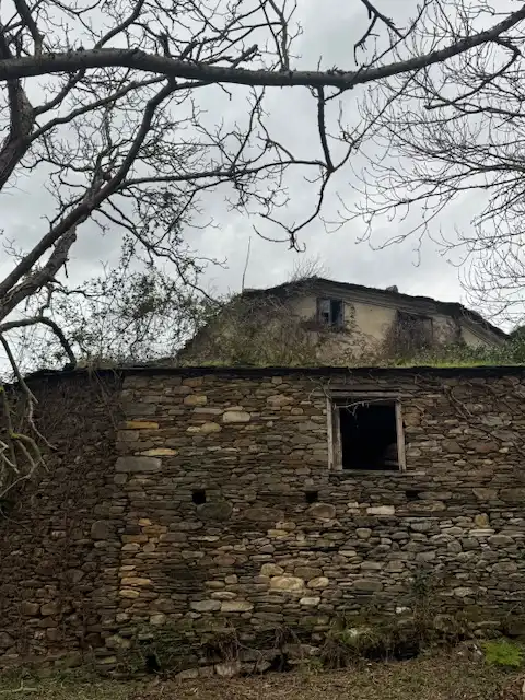 Vista exterior de Finca rústica en venta en Castropol