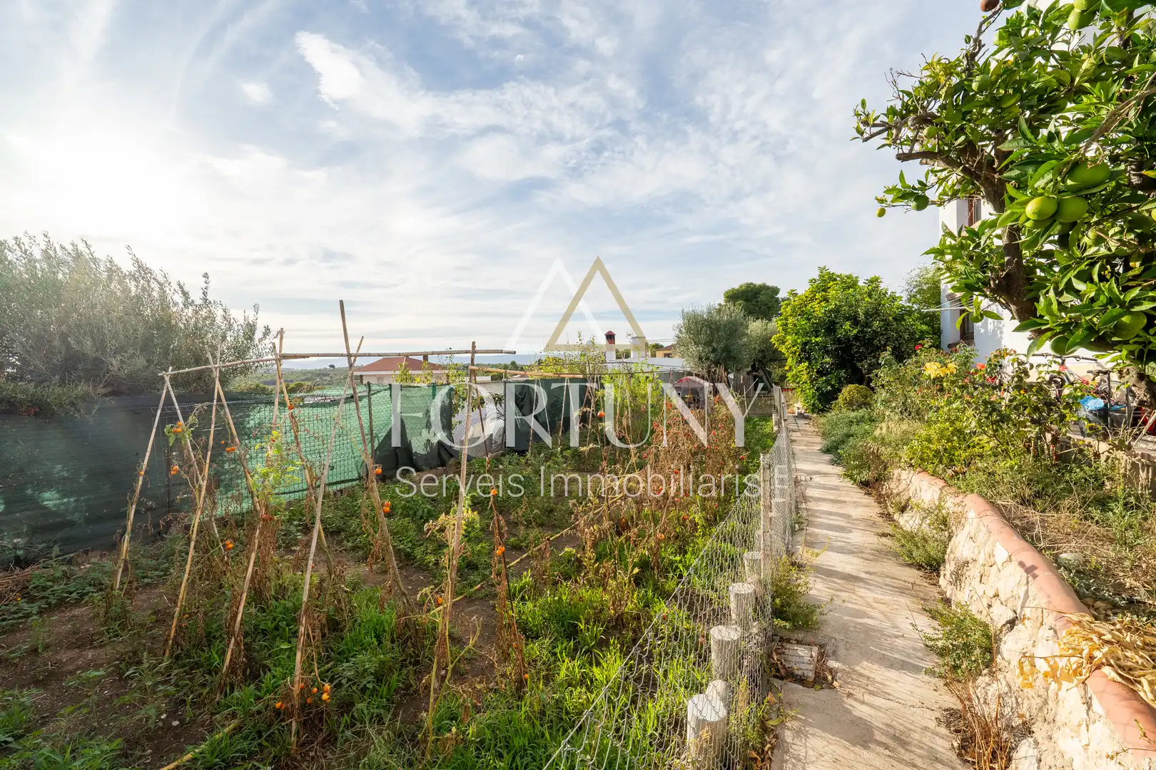 House with pool for sale in Camí de Salomó, imagen 39