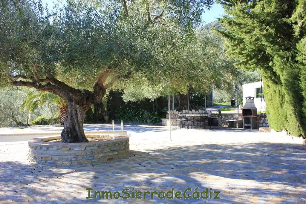 Casa rústica amb terrassa en venda a Paco de Arriba, imagen 56